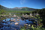 Click to see YIMG_1559.JPG