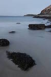 Click to see Y_MG_1399.JPG