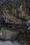 Click to see Y_MG_1411.JPG