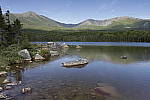 Click to see Y_MG_1598.JPG