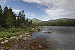 Click to see Y_MG_1619.JPG
