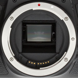 Canon T6s tech section illustration