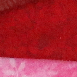 100% crop from Canon T6s test image taken at ISO 3200
