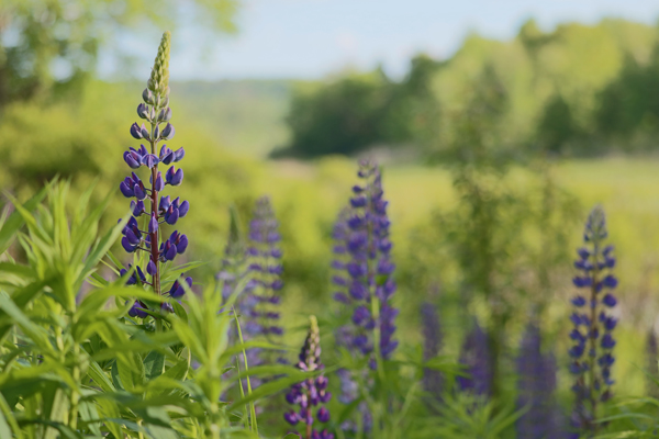 Canon T6s Review -- Gallery Image