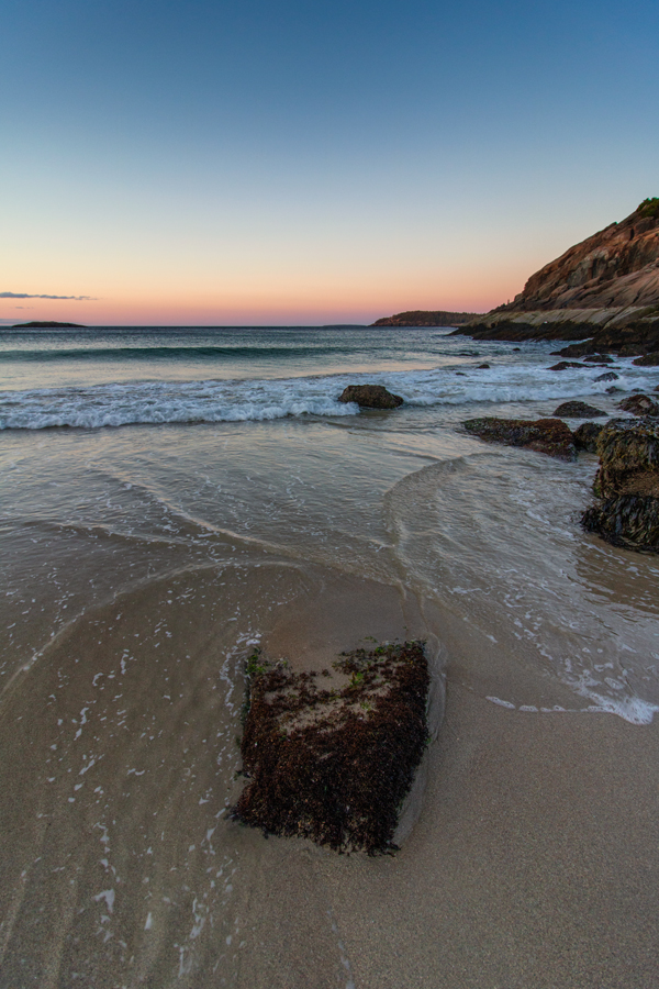 Canon T6s Review -- Gallery Image