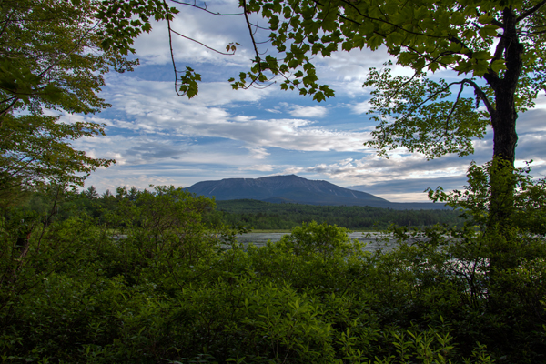 Canon T6s Review -- Gallery Image
