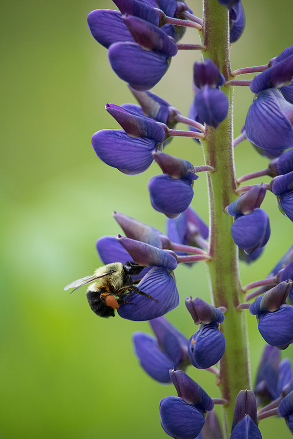 Canon T6s Review -- Gallery Image