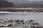 Click to see Y_MG_2236.JPG