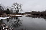 Click to see Y_MG_2239.JPG