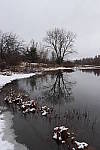 Click to see Y_MG_2240.JPG