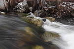 Click to see Y_MG_2246.JPG