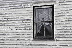 Click to see Y_MG_2284.JPG