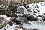 Click to see Y_MG_2291.JPG