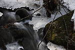 Click to see Y_MG_2317.JPG