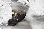 Click to see Y_MG_2355.JPG