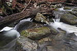 Click to see Y_MG_2443.JPG