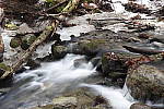 Click to see Y_MG_2451.JPG