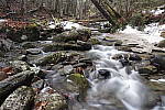 Click to see Y_MG_2457.JPG