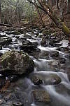 Click to see Y_MG_2460.JPG