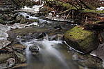 Click to see Y_MG_2465.JPG