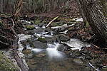 Click to see Y_MG_2471.JPG