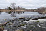 Click to see Y_MG_2504.JPG