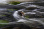 Click to see Y_MG_2507-MOD.JPG