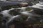 Click to see Y_MG_2512.JPG