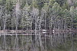 Click to see Y_MG_2537.JPG