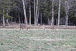 Click to see Y_MG_2543.JPG