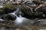 Click to see Y_MG_2553.JPG