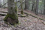 Click to see Y_MG_2576.JPG
