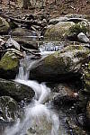 Click to see Y_MG_2585.JPG