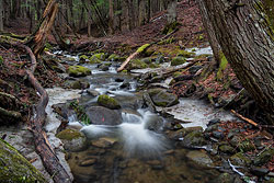 Canon T7i field test photo