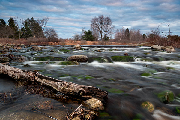 Canon T7i Review -- Gallery Image