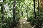 Click to see YDXO_0340.JPG