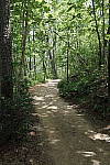Click to see YDXO_0341.JPG