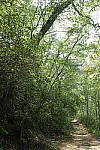 Click to see YDXO_0389.JPG
