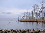 Click to see Y-DP-F8951.JPG
