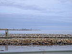 Click to see Y-DP-F8953.JPG