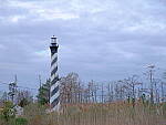 Click to see Y-DP-F8954.JPG