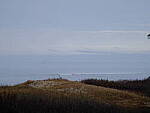 Click to see Y-DP-F8979.JPG