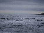 Click to see Y-DP-F8981.JPG