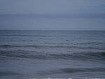 Click to see Y-DP-F8991.JPG