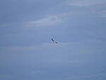 Click to see Y-DP-F9069.JPG