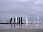 Click to see Y-DP-F9199.JPG