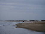 Click to see Y-DP-F9232.JPG