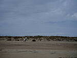 Click to see Y-DP-F9312.JPG