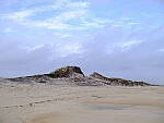 Click to see Y-DP-F9367.JPG