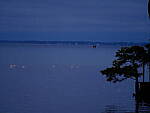 Click to see Y-DP-F9373.JPG